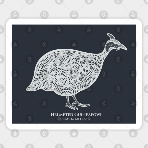 Helmeted Guineafowl with Common and Scientific Names - pretty bird design Magnet by Green Paladin